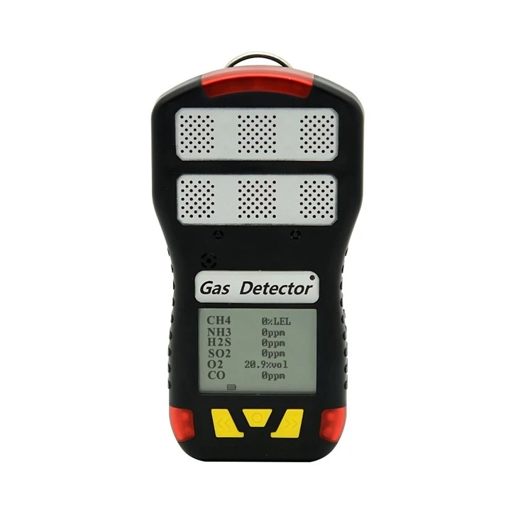 6 Gas Monitor