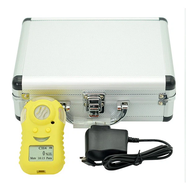 Portable Chlorine Gas Detector